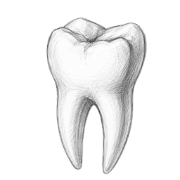 Tooth icon